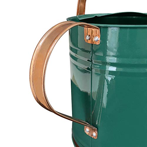 Metal Watering Can for Outdoor and Indoor Plants, Watering Can Dec...