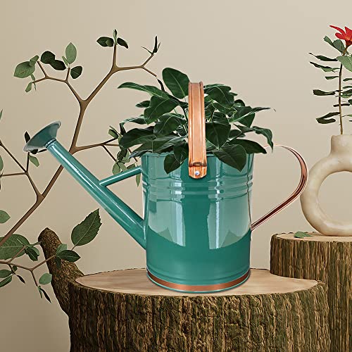Metal Watering Can for Outdoor and Indoor Plants, Watering Can Dec...