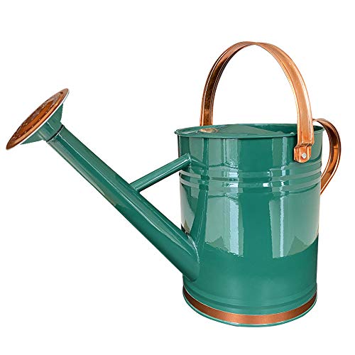 Metal Watering Can for Outdoor and Indoor Plants, Watering Can Dec...