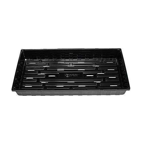 Food Grade & BPA Free, 10 Pack 1020 Tray, with Drain Holes, SUNPAC...