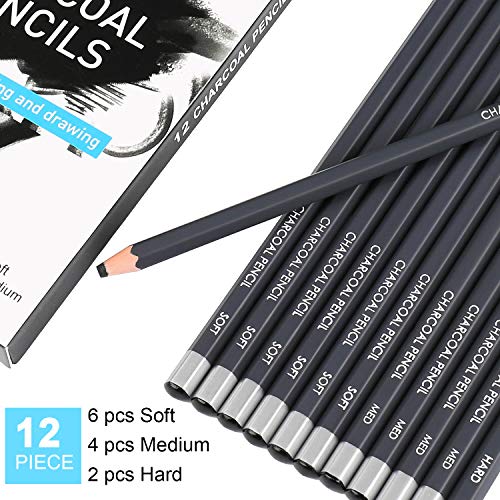 Professional Charcoal Pencils Drawing Set - 12 Pieces Soft Medium ...