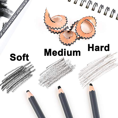 Professional Charcoal Pencils Drawing Set - 12 Pieces Soft Medium ...