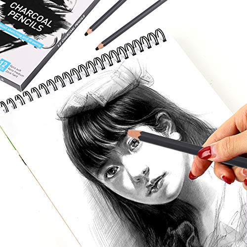 Professional Charcoal Pencils Drawing Set - 12 Pieces Soft Medium ...