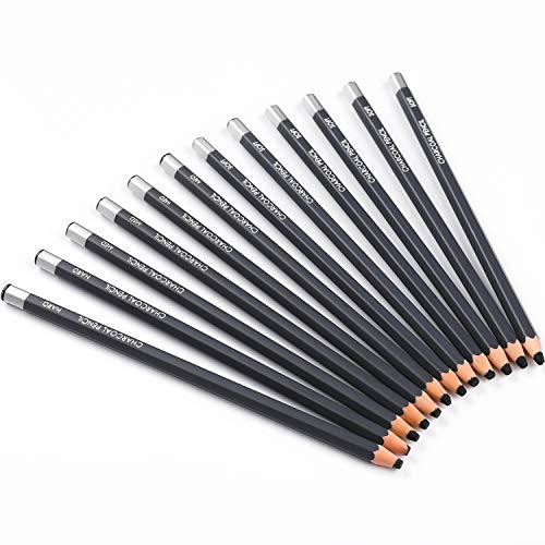 Professional Charcoal Pencils Drawing Set - 12 Pieces Soft Medium ...