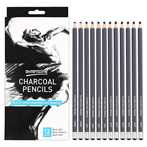 Professional Charcoal Pencils Drawing Set - 12 Pieces Soft Medium ...