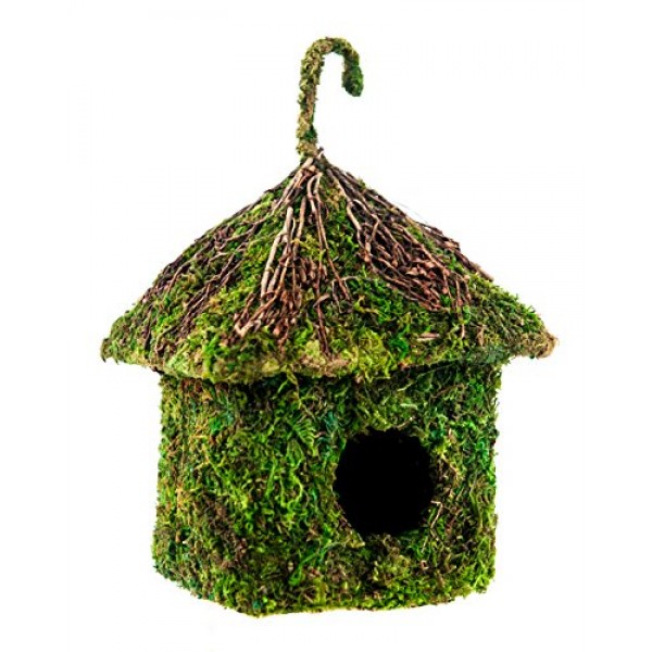 Super Moss 56015 Shack Birdhouse, 6 by 8-Inch, Fresh Green