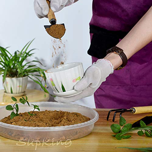 SupKing Plant Saucers 10 Pack of 8 Inch,Sturdy Plastic Plant Drip ...