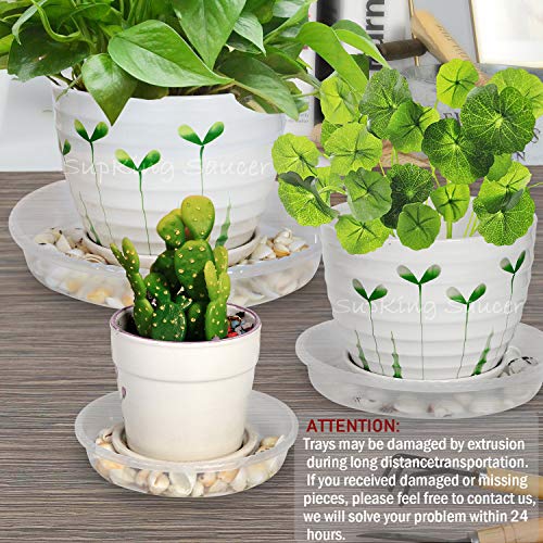 SupKing Plant Saucers 10 Pack of 8 Inch,Sturdy Plastic Plant Drip ...