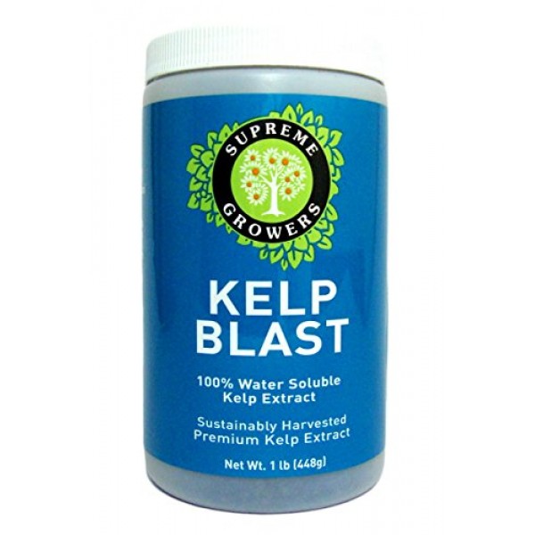 Kelp Blast Concentrate by Supreme Growers Water Soluable Kelp Cont...