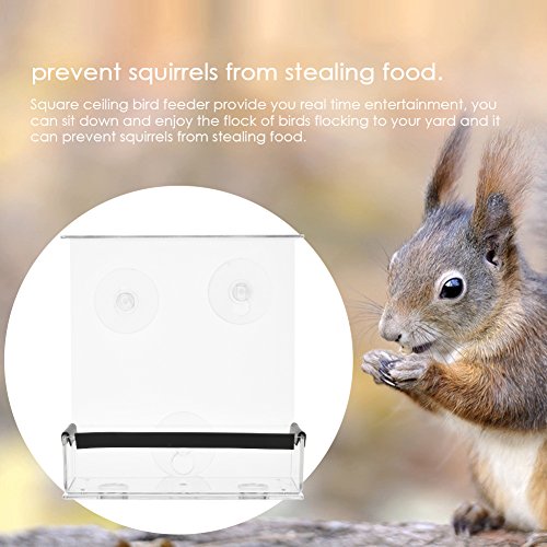 SUQ I OME Outdoor Wild Window Bird Feeder with Strong Suction Cups...