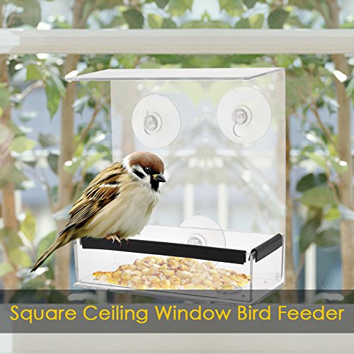 SUQ I OME Outdoor Wild Window Bird Feeder with Strong Suction Cups...