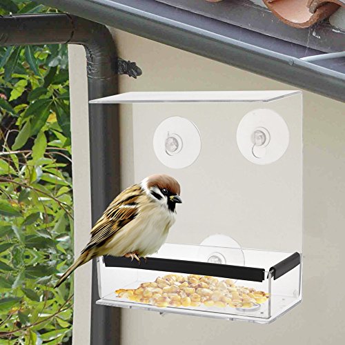 SUQ I OME Outdoor Wild Window Bird Feeder with Strong Suction Cups...