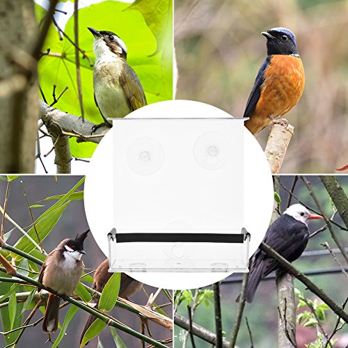 SUQ I OME Outdoor Wild Window Bird Feeder with Strong Suction Cups...