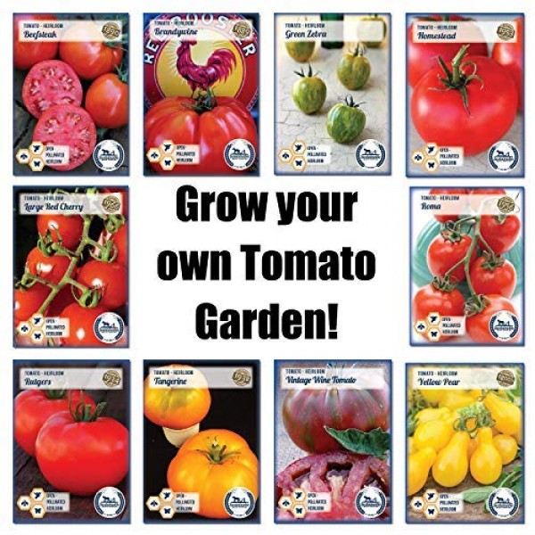 Windowsill Tomato Garden Seed Starter Kit - Tomato Planter Comes C...