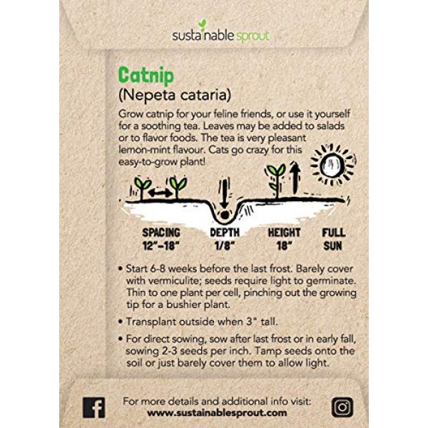 Herbal Tea Seeds Variety Pack - 100% Non GMO - Catnip, Chamomile, ...