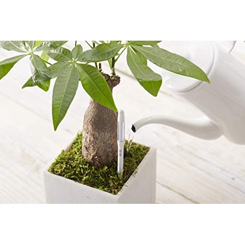 Sustee Aquameter, Set of 5, Plant Soil Moisture Sensor Green, Small