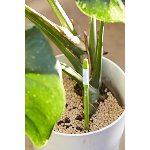 Sustee Aquameter, Set of 5, Plant Soil Moisture Sensor Green, Small