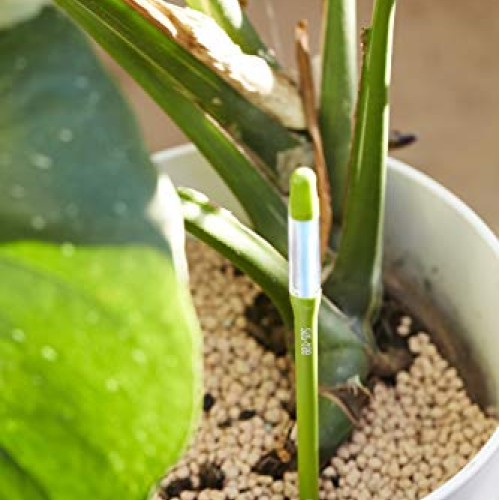 Sustee Aquameter, Set of 5, Plant Soil Moisture Sensor Green, Small