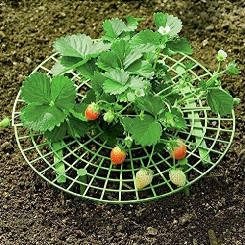 12-Pack Strawberry Supports Stand Garden Fruit Plant Cage Strawber...