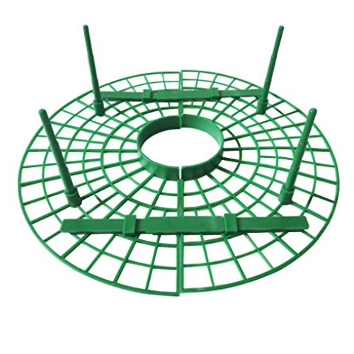 12-Pack Strawberry Supports Stand Garden Fruit Plant Cage Strawber...