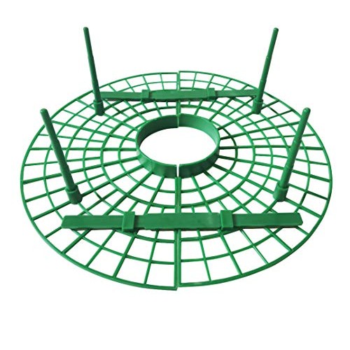12-Pack Strawberry Supports Stand Garden Fruit Plant Cage Strawber...