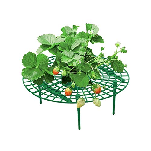 12-Pack Strawberry Supports Stand Garden Fruit Plant Cage Strawber...