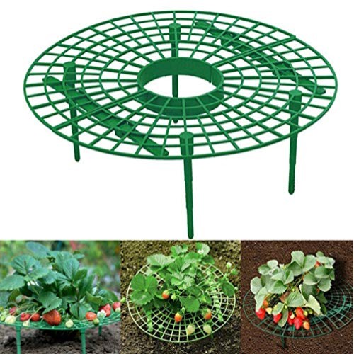 12-Pack Strawberry Supports Stand Garden Fruit Plant Cage Strawber...
