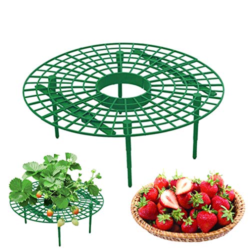 12-Pack Strawberry Supports Stand Garden Fruit Plant Cage Strawber...
