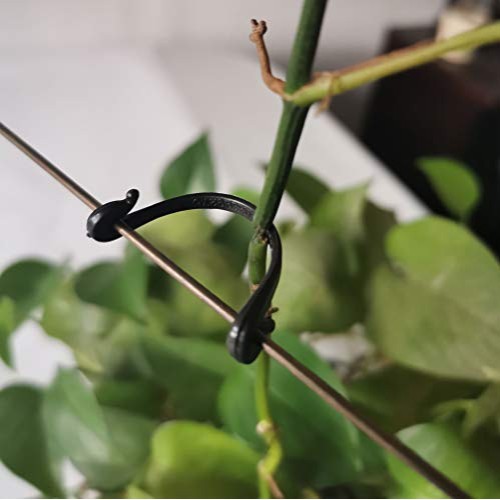 SUSUB 200PCS Kiwi Grape Stem Vine Clips Grape Ties Garden Plant Su...