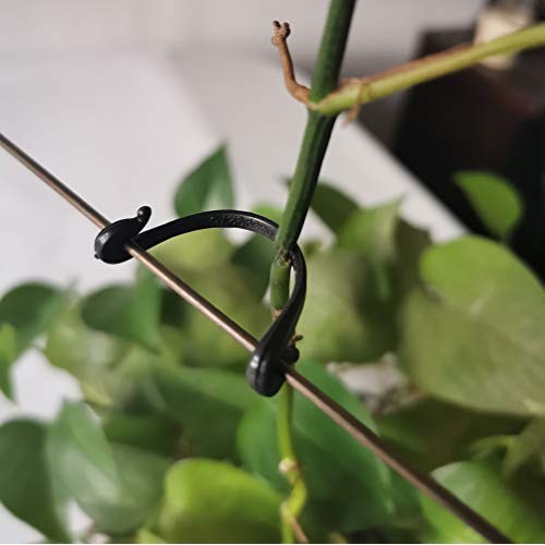 SUSUB 200PCS Kiwi Grape Stem Vine Clips Grape Ties Garden Plant Su...