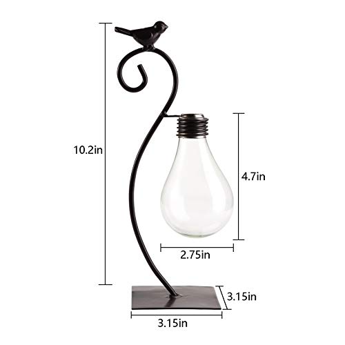 Suwimut 2 Pack Glass Planter Hydroponics Vase, Desktop Planter Bul...