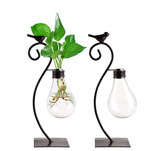 Suwimut 2 Pack Glass Planter Hydroponics Vase, Desktop Planter Bul...