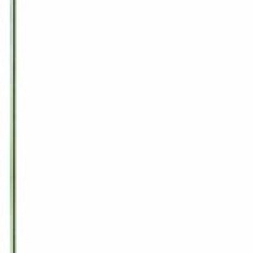 Swanson FW15100 2-Inch by 3-Inch Marking Flags with 15-Inch Wire S...
