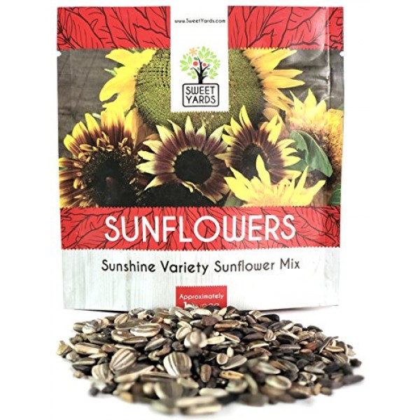 Sunflower Variety Mix 10 Types of Beautiful Sunflowers - Bulk 1 Ou...