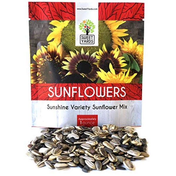 Bulk Wildflower Seeds Variety Pack - 5 Large Packets 5 Different M...