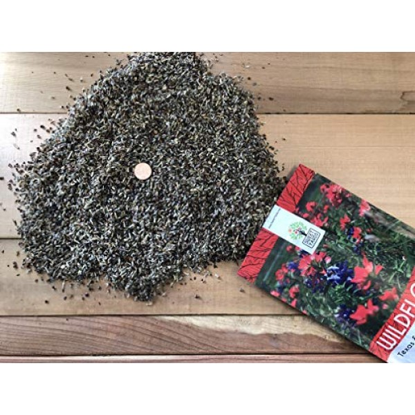 Texas Oklahoma Wildflower Seeds Mixture - Bulk 1/4 Pound Bag - Ove...