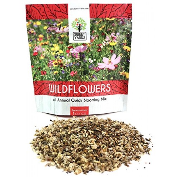Wildflower Seeds Annual Quick Blooming Mix - Large 1 Ounce Packet ...