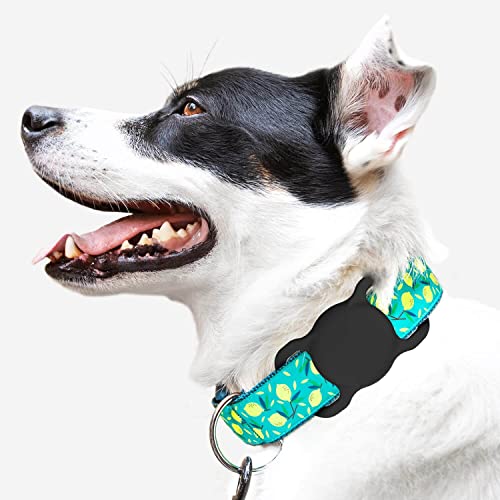 Airtag Dog Collar Holder2 Pack for Apple Airtags Anti-Lost Air T...