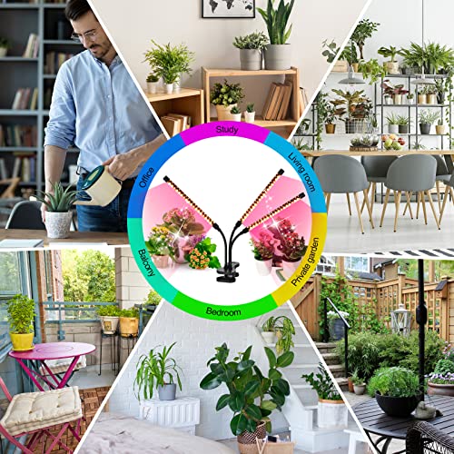 SYEIORAOM Grow Lights for Indoor Plants, 3 Head Desk Clip Full Spe...