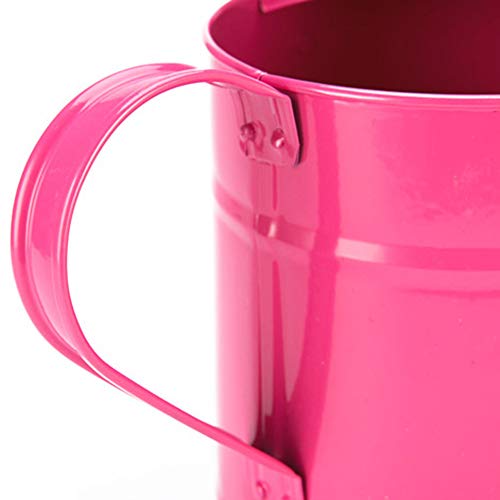 SYLOTS 1.5 Letre Iron Watering Can, Kids Multi-Color Metal Waterin...