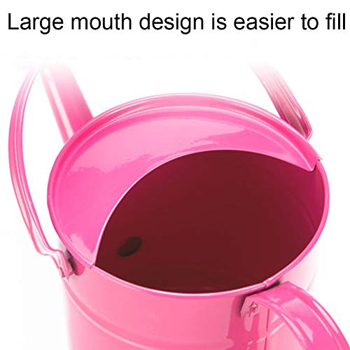 SYLOTS 1.5 Letre Iron Watering Can, Kids Multi-Color Metal Waterin...