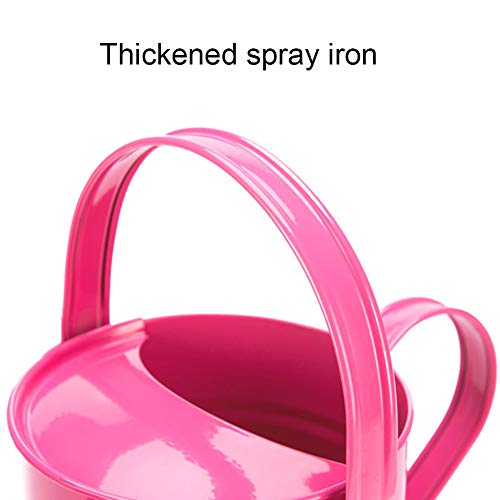 SYLOTS 1.5 Letre Iron Watering Can, Kids Multi-Color Metal Waterin...