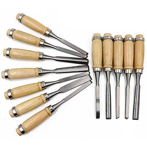 12Pcs Professional Wood Carving Chisel Set with Carrying Case for ...