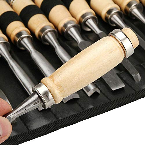 12Pcs Professional Wood Carving Chisel Set with Carrying Case for ...