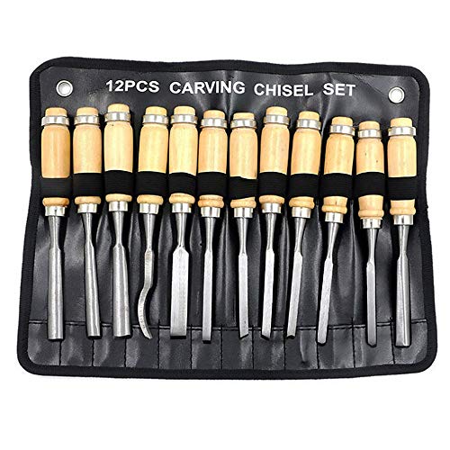 12Pcs Professional Wood Carving Chisel Set with Carrying Case for ...