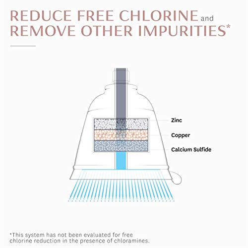 T3 - Source Showerhead | Adjustable Chrome Shower Head with Chlori...