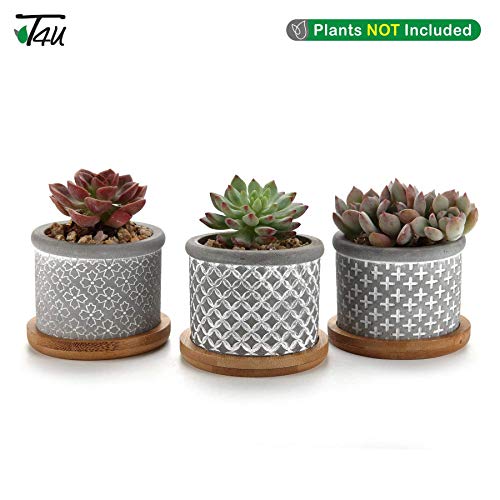 T4U 2.5 Inch Cement Succulent Pot with Bamboo Tray Set of 3, Small...
