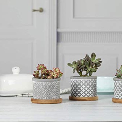 T4U 2.5 Inch Cement Succulent Pot with Bamboo Tray Set of 3, Small...