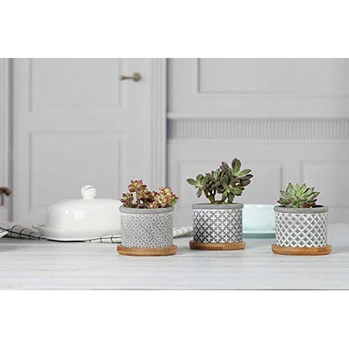 T4U 2.5 Inch Cement Succulent Pot with Bamboo Tray Set of 3, Small...