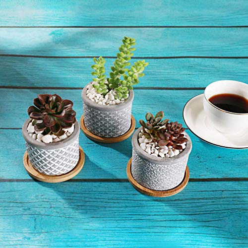 T4U 2.5 Inch Cement Succulent Pot with Bamboo Tray Set of 3, Small...